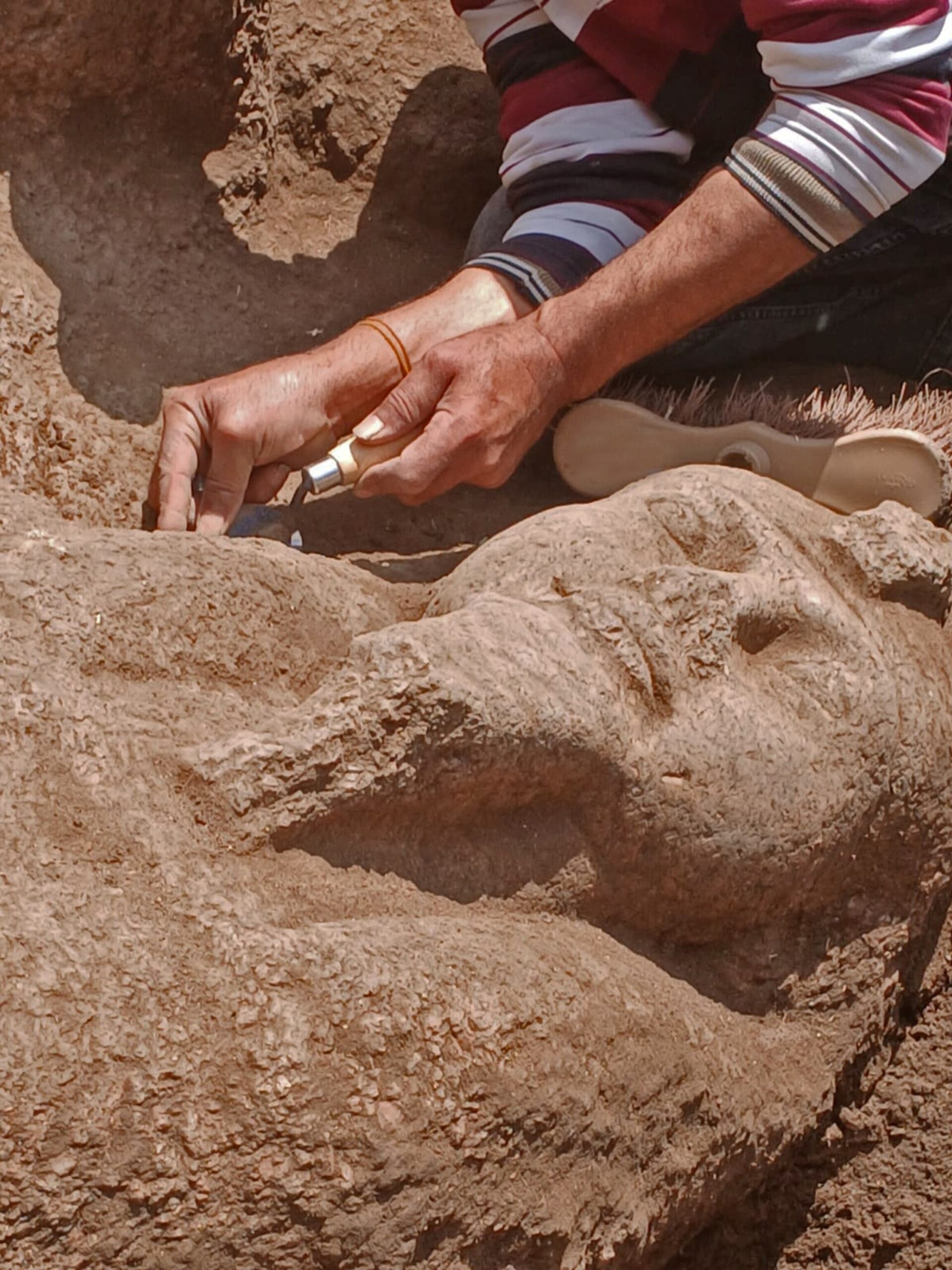 Who dragged this Ramses II statue across the desert?