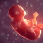 Čínski vedci skúmali vznik ľudských pohlavných buniek vo vesmíre. Mikrogravitácia mu nepraje