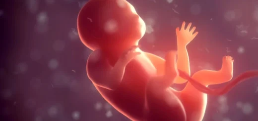 Čínski vedci skúmali vznik ľudských pohlavných buniek vo vesmíre. Mikrogravitácia mu nepraje