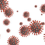 COVID-19 vaccine boosters may help protect against future animal coronaviruses