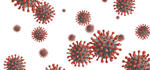 COVID-19 vaccine boosters may help protect against future animal coronaviruses