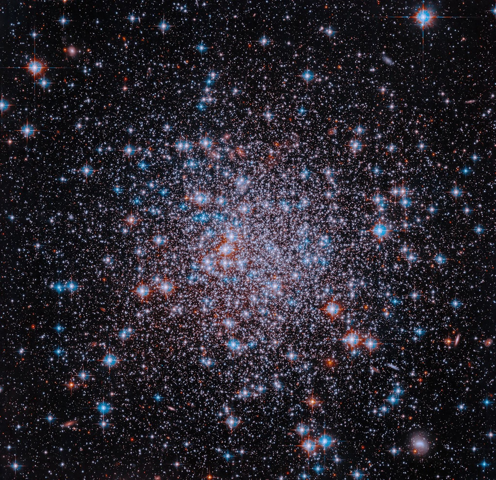 Hubble image of NGC 6426, a compact grouping of a multitude of stars shine in red, white and blue against the dark background of space. The stars are more densely collected toward the center of the cluster.