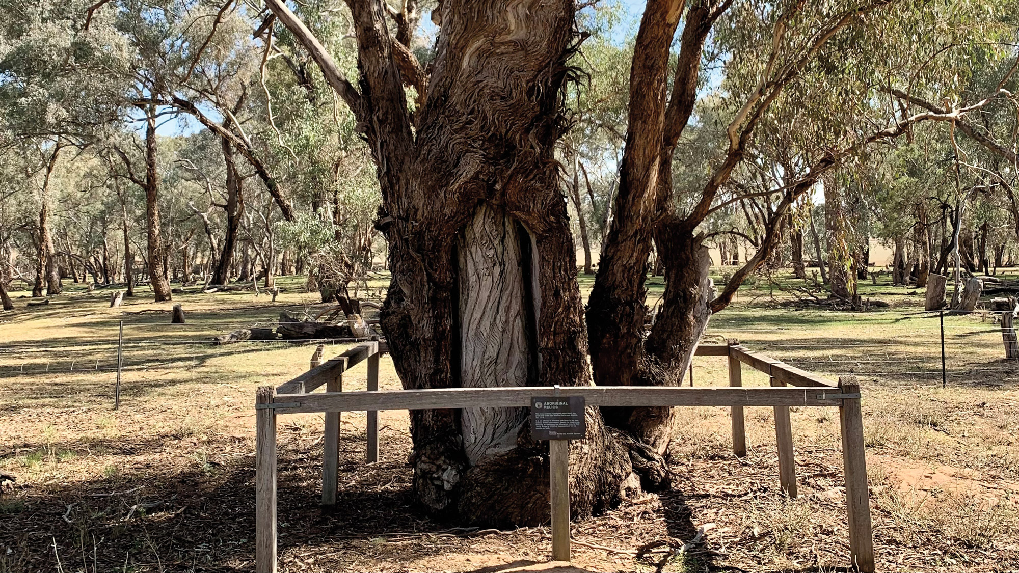 7,000-Year-Old Quarry Examined in South Australia