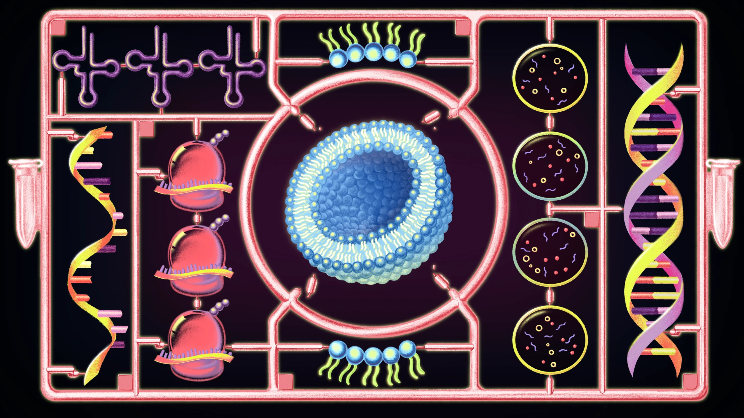 For the First Time, a Cell Built From Scratch Grows and Divides