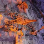 ancient, animal, archeology, bone, dead, dinosaur, evolution, extinct, fish, fossil, fossilized, history, marine, nature, paleontology, prehistoric, sea, shell, skeleton, teeth