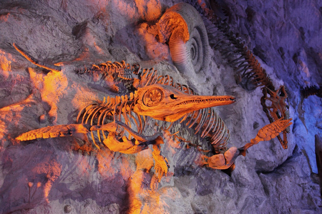 ancient, animal, archeology, bone, dead, dinosaur, evolution, extinct, fish, fossil, fossilized, history, marine, nature, paleontology, prehistoric, sea, shell, skeleton, teeth