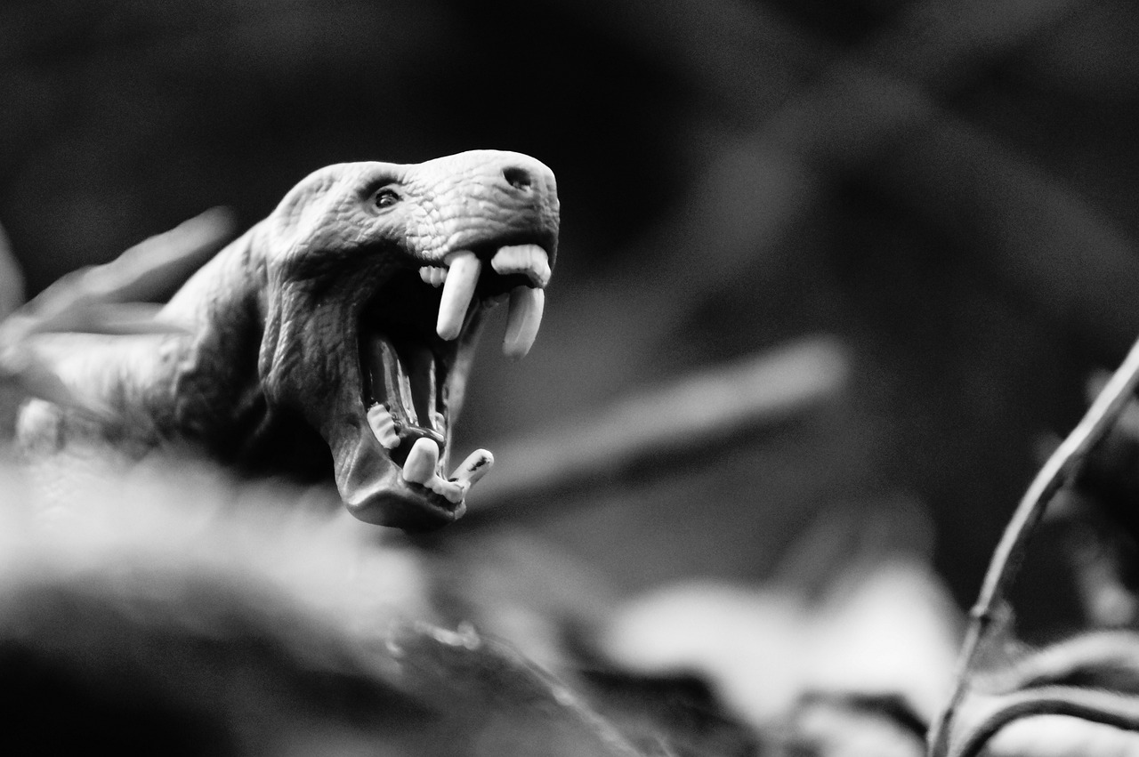 the animal, dinosaur, wild, extinct, beach, prehistoric, dino, monsters, silhouette, nature, lizard, jura, predator, dragon, paleontology, the ancient, history, coated, carnivore, zoo, exotic, development, fossil, gigantic, archaeology
