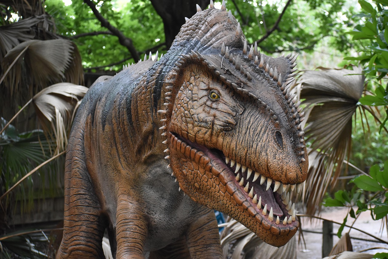 dinosaur, t-rex, skeleton, museum, artifact, death fossil, prehistoric, jurassic predator, archeology, wildlife gigantic extinct, paleontology research, ancient, dead evolution, monstrous, free pictures of science, reptile, rex resurrection, tyrannosaurus, carnivore, creature, dino