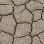 drought, desktop backgrounds, arid climate, free background, dry, weather, 4k wallpaper 1920x1080, wallpaper 4k, laptop wallpaper, cool backgrounds, hd wallpaper, dirt, 4k wallpaper, windows wallpaper, land, beautiful wallpaper, environment, mac wallpaper, free wallpaper, full hd wallpaper, cracked, earth, wallpaper hd, nature, background