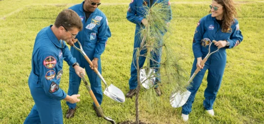 Artemis II Crew and Apollo 14 Moon Tree
