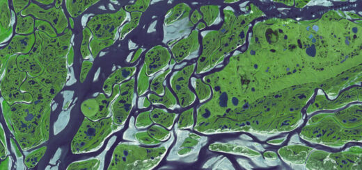 Malé mokrade unikajú mapám a produkujú štvrtinu svetových emisií metánu