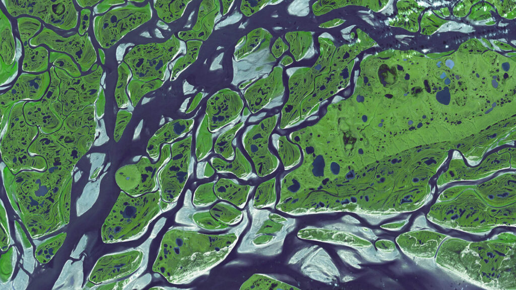 Malé mokrade unikajú mapám a produkujú štvrtinu svetových emisií metánu