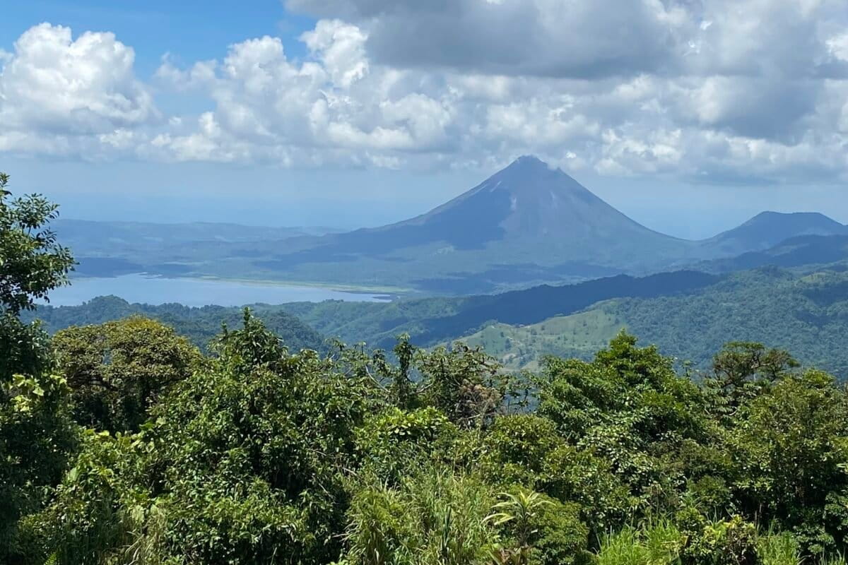 Tropical mountain wildlife are at high risk from climate change impacts, study finds