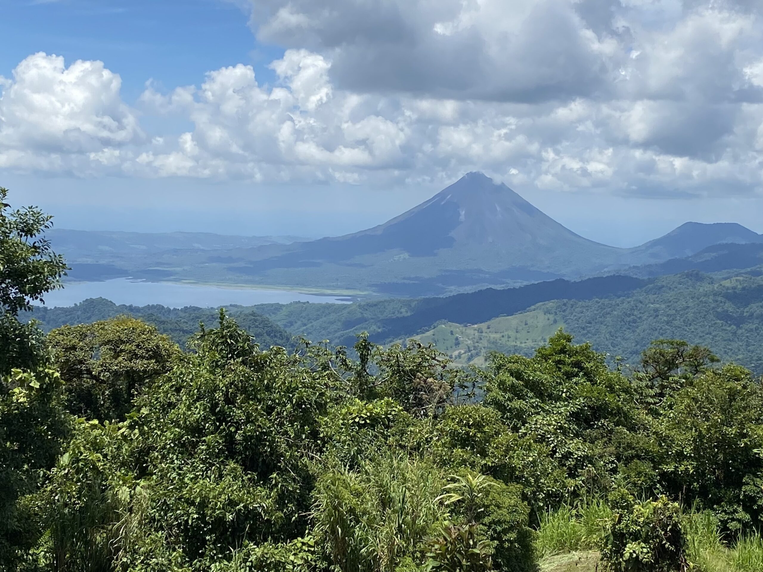 Tropical mountain wildlife are at high risk from climate change impacts, study finds