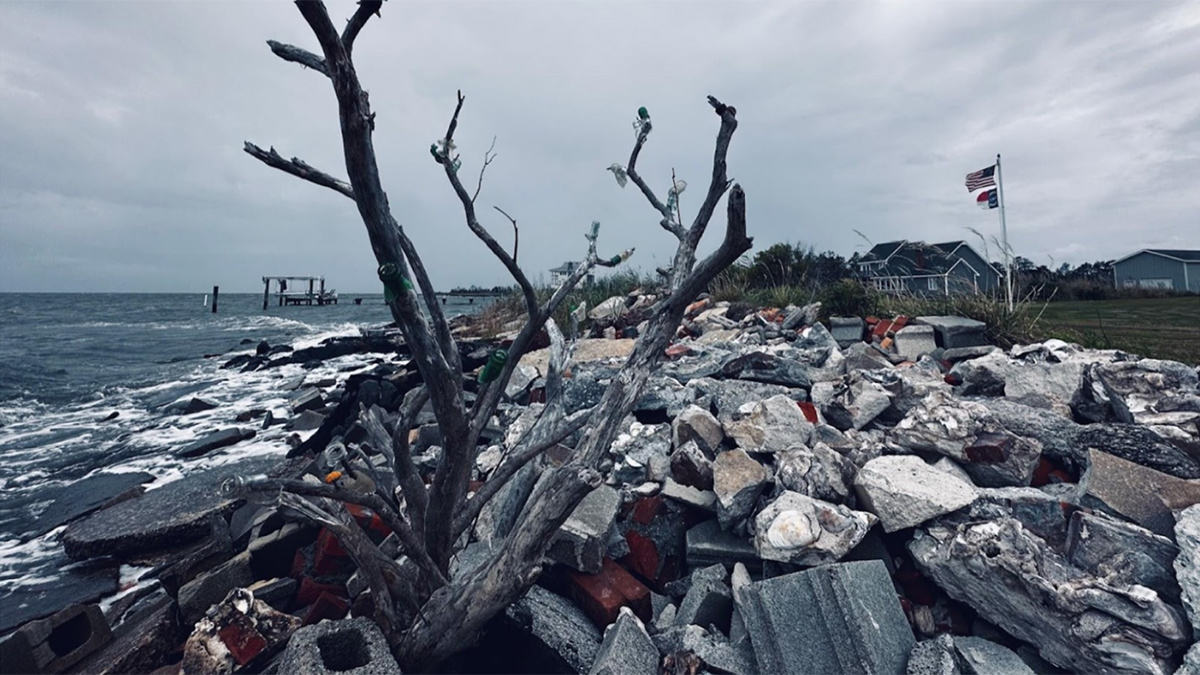 Confronting Salty Problems in the Coastal Plain