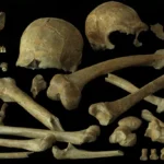 Neskorí neandertálci v Belgicku a Francúzsku zrejme nevymierali pre príbuzenské kríženie