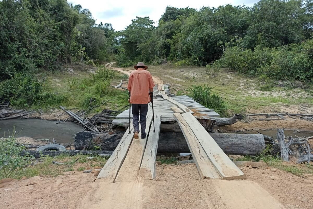 Ekológka, ktorá počúva lesy, získala cenu Pritzker pre environmentálnych géniov