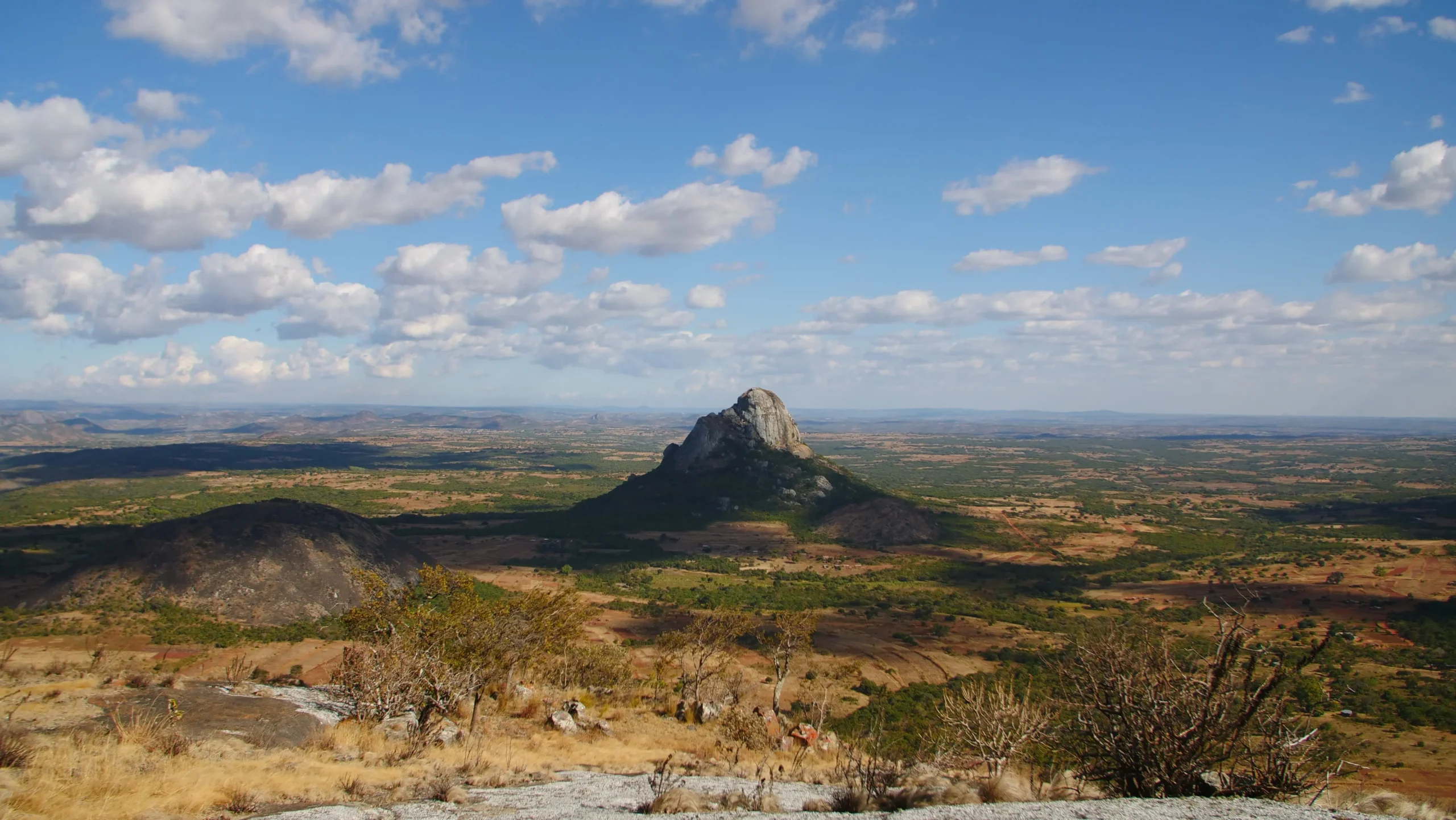 Do Africa’s Mass Animal Migrations Extend Into Deep Time?