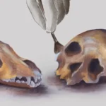 Psy v hroboch z doby železnej: čo archeológia vie a kde začína predstavivosť Unearthing What Archaeologists Can and Cannot Know