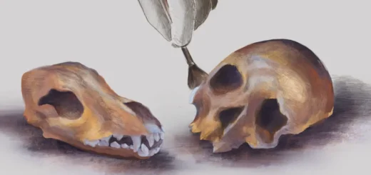 Unearthing What Archaeologists Can and Cannot Know