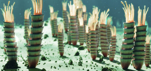 Rise of collagen-eating microbes may help explain gaps in the fossil record