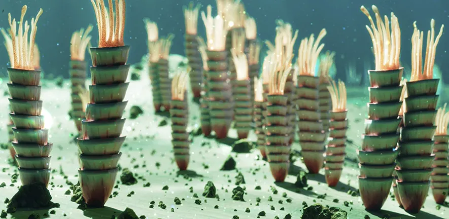 Illustration of Ediacaran life forms on the seafloor