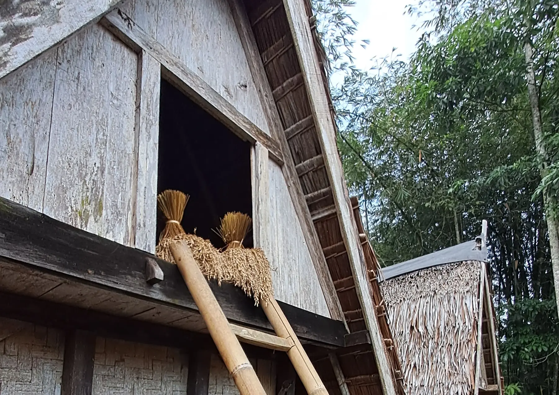 A bamboo ladder leads to the upper portion of a building with a thatched roof.