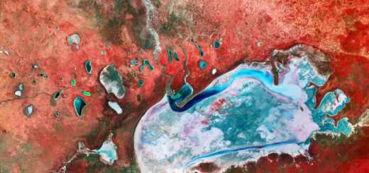 Soľná pláň Etosha z obežnej dráhy pripomína cudziu planétu. Satelit Sentinel-2 ju nasnímal vo falošných