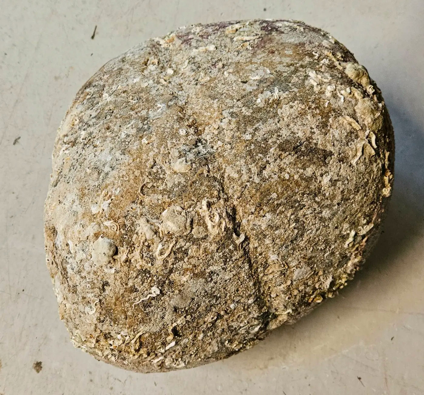Stone with groove running down the middle