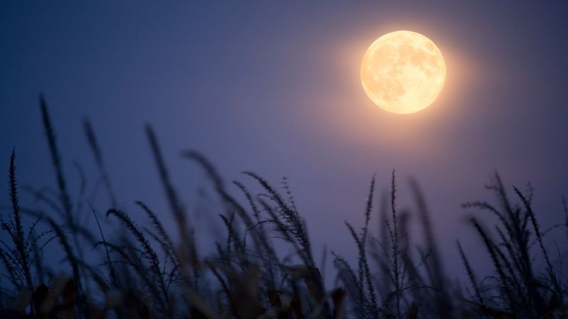 Moon news, features and articles