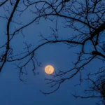 Októbrová obloha ponúka zatmenie Jupitera, dva meteorické roje a lovcov mesiac Októbrová obloha ponúka zatmenie Jupitera, dva meteorické roje a lovcov mesiac
