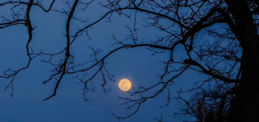 Októbrová obloha ponúka zatmenie Jupitera, dva meteorické roje a lovcov mesiac