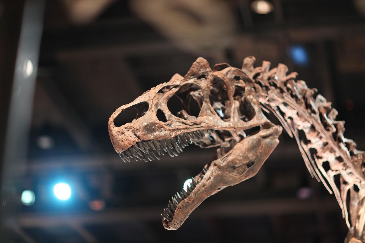 Tyrannosaurus rex: z osamelého tyrana sa stáva spoločenské zviera