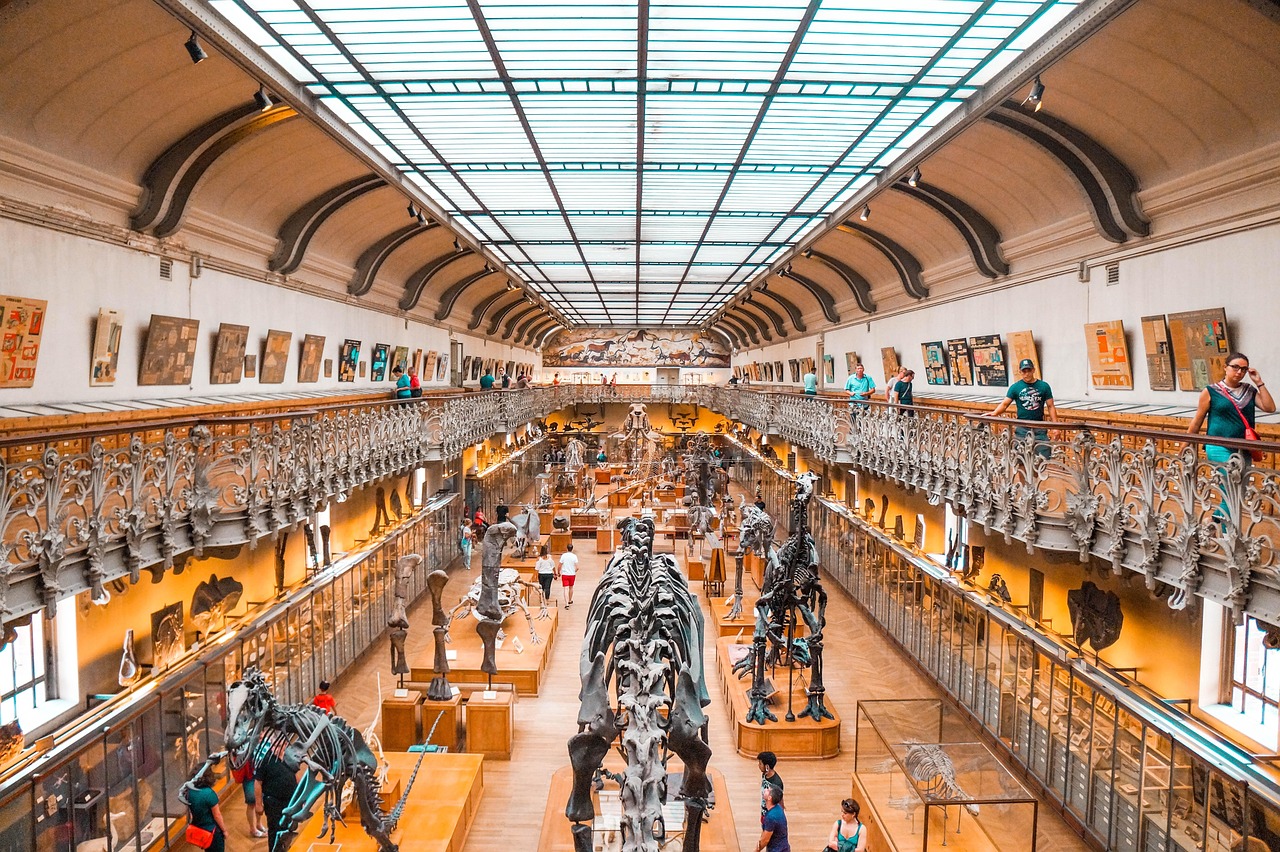 Tyrannosaurus rex: z osamelého tyrana sa stáva spoločenské zviera