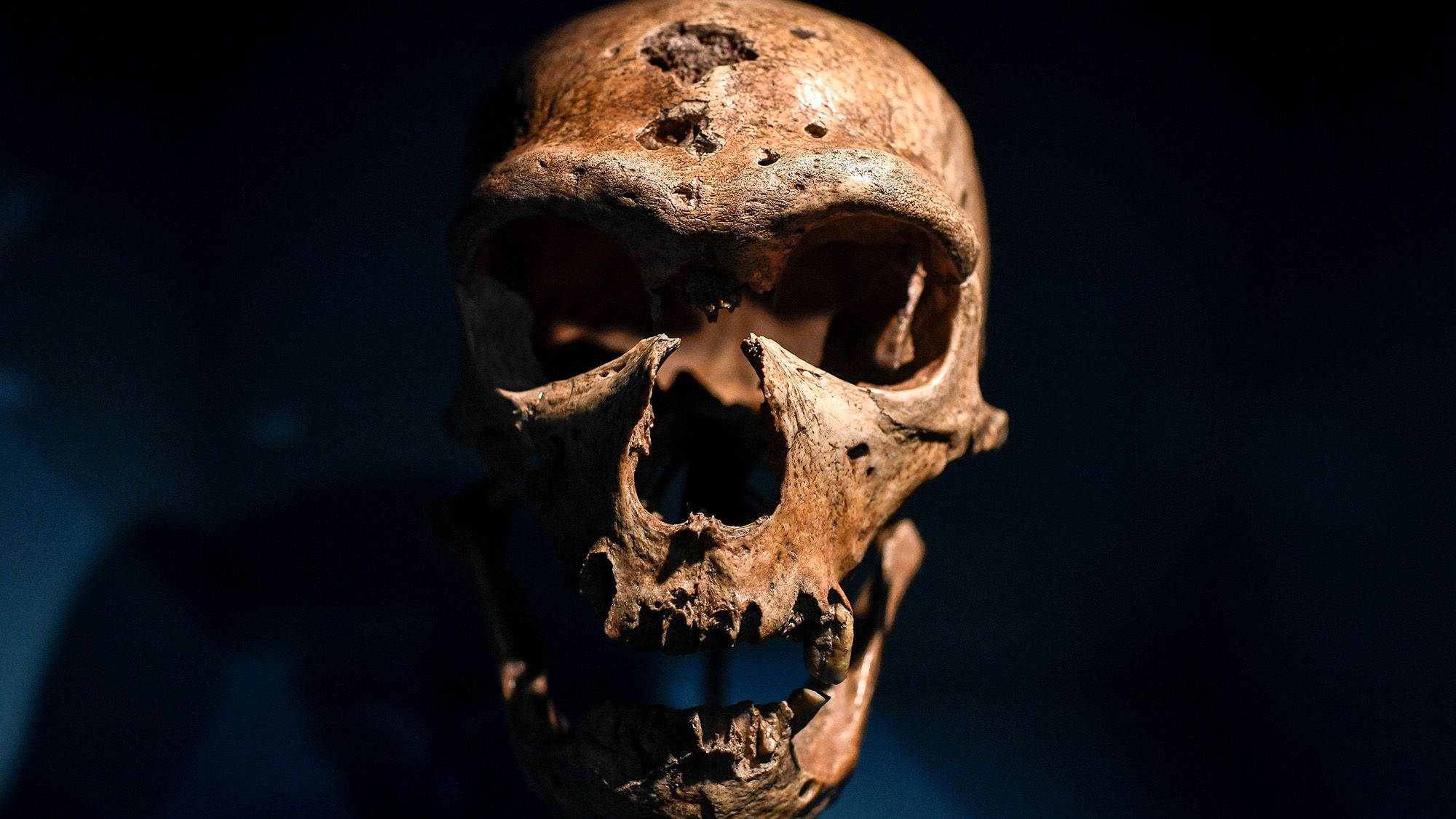 Ako sa do dejín neandertálcov prepisujú naše vlastné obavy