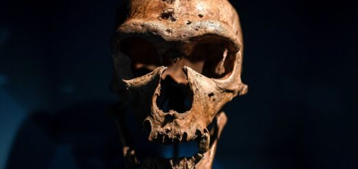 Ako sa do dejín neandertálcov prepisujú naše vlastné obavy