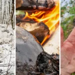 Neandertálci možno používali brezový decht ako liek na rany, ukázal experiment