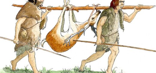 Neandertálci v Abric Romaní: 600 drevených predmetov odhalilo zručných remeselníkov