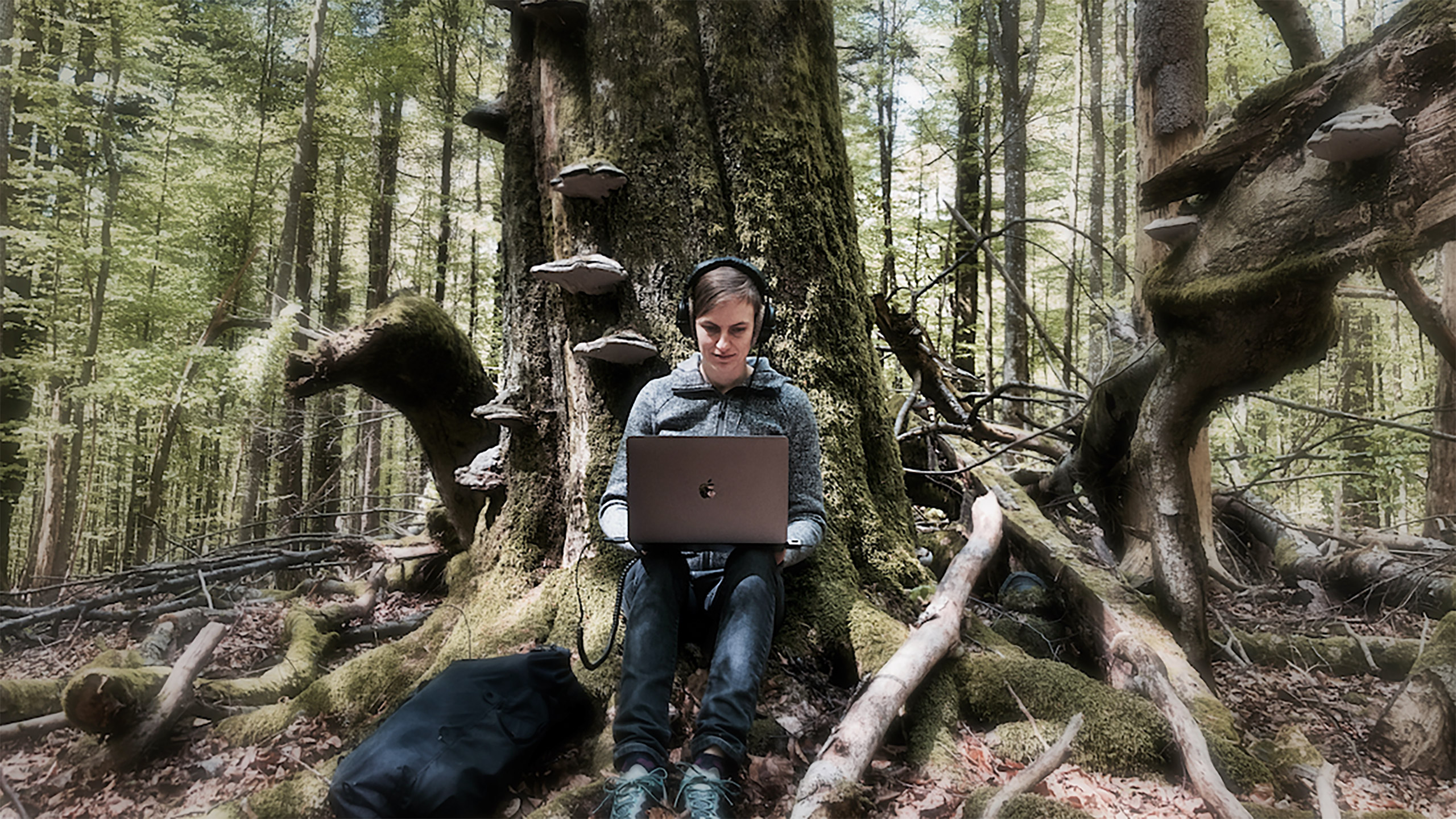 Researcher who listens to forests wins 2026 Pritzker Environmental Genius Award